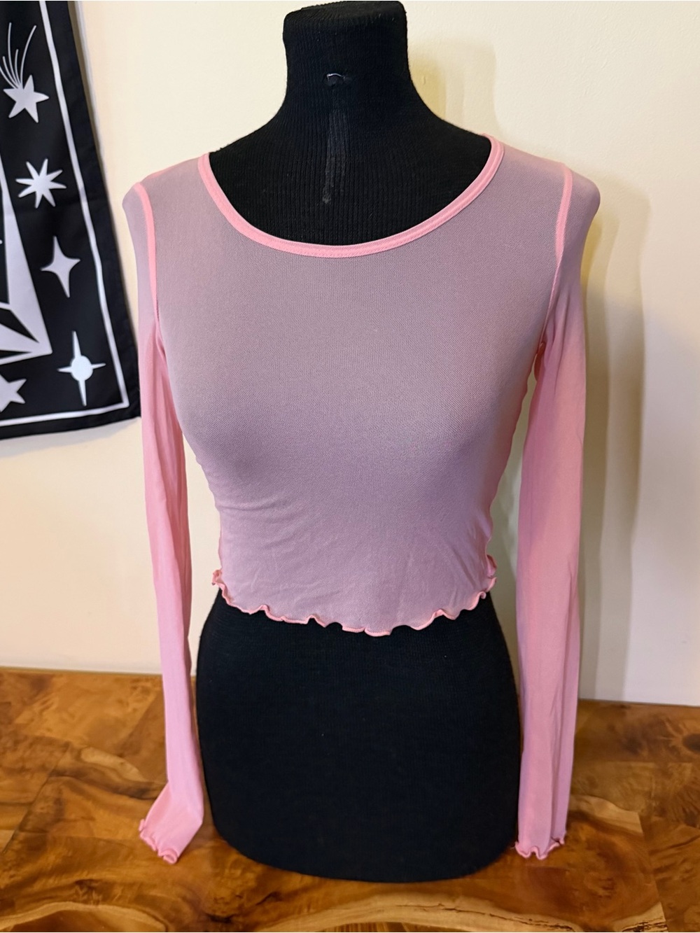 Aerie Women's XS Mesh Cropped Top Sheer Long Sleeve Fairy Frstival